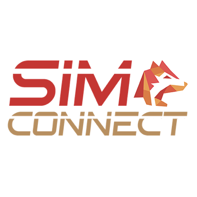 SIMCONNECTミニマムプラン（500MB）
